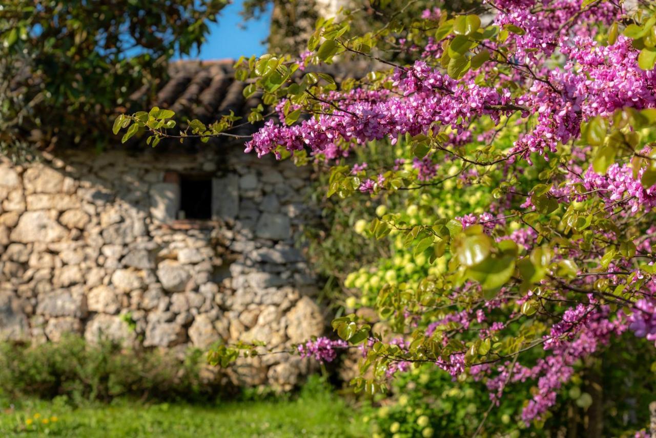 La Maison De Yuka Plieux Kültér fotó